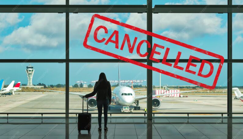 A woman with a suitcase watching a parked plane due to flight cancellations