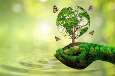 An AI created hand holding a tree and warning about the AI environmental impact
