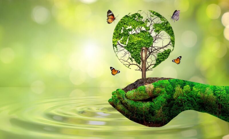An AI created hand holding a tree and warning about the AI environmental impact